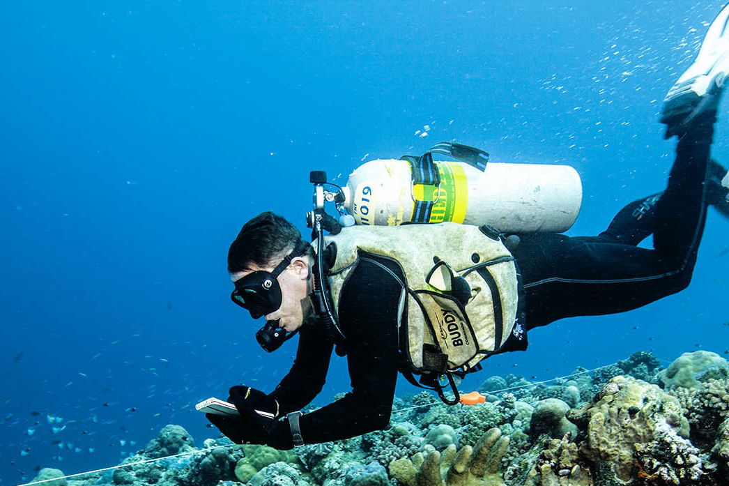 We're developing new techniques to help coral reefs adapt and build resilience. 