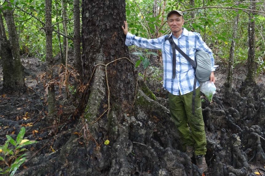 Program volunteer Hidetoshi ‘Mikey’ Kudo with another mangrove discovery in Trinity Inlet. Credit: CAFNEC