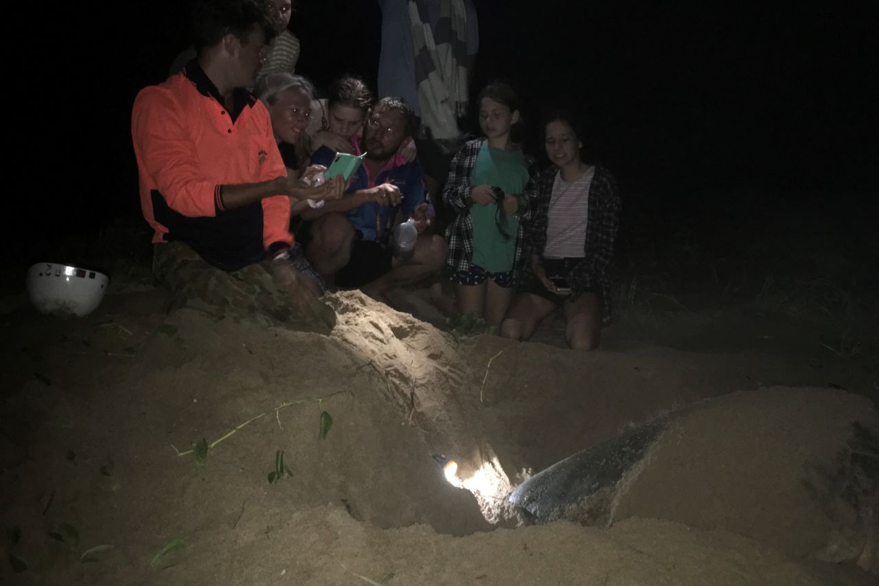 Campers watch a turtle lay her eggs. Credit: Nev & Bev McLachlan