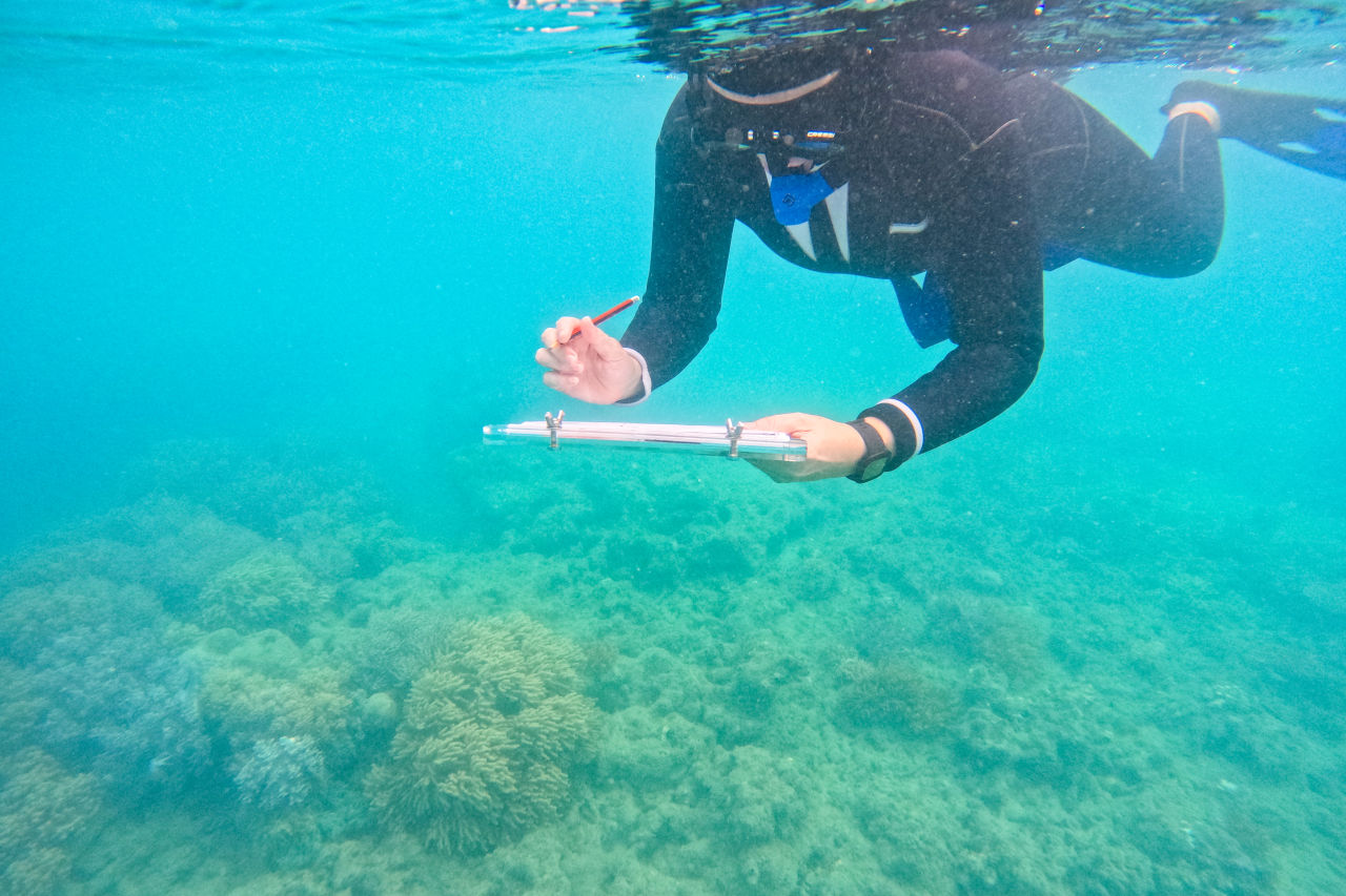 Nicole regularly offers ZigZag Whitsundays' resources for local marine conservation efforts and encourages her staff to get involved. Credit: Nicole Rosser.