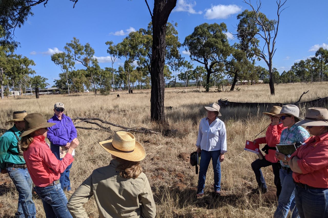 Graziers learn the ins and outs of forage budgeting. Image NQ Dry Tropics
