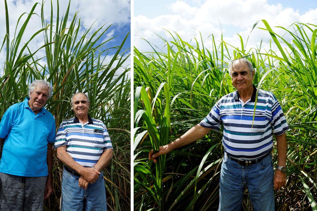 Left: Vince Trovato followed Tony Crisafulli in using the Agro Goup spinner trucks to apply mill mud to the farm. Right: Ingham cane farmer Tony Crisafulli. Credit: Canegrowers Herbert River.
