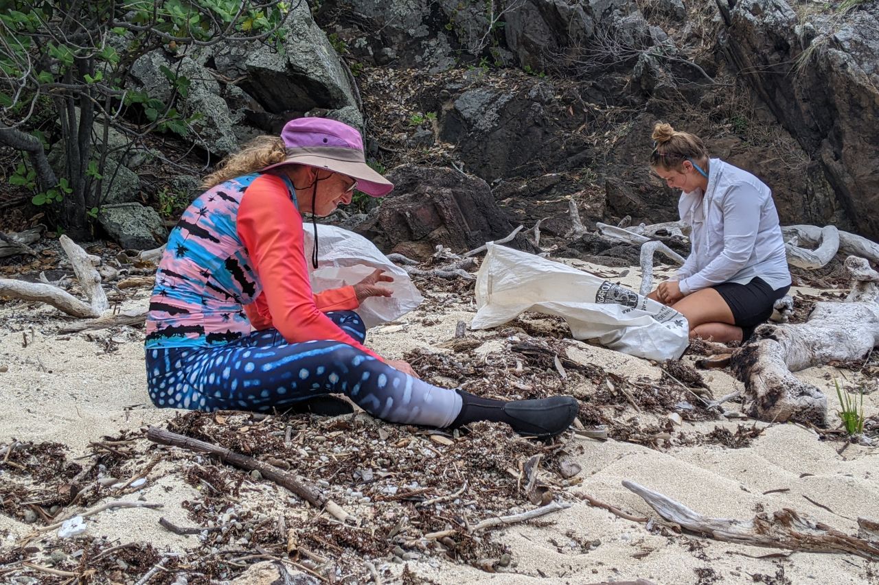 Reef Check Australia team members conducting a beach clean. Credit: Reef Check Australia