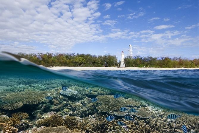 Lady Elliot Island, on the southern tip of the Reef, is one of Mark's favourite spots. 
