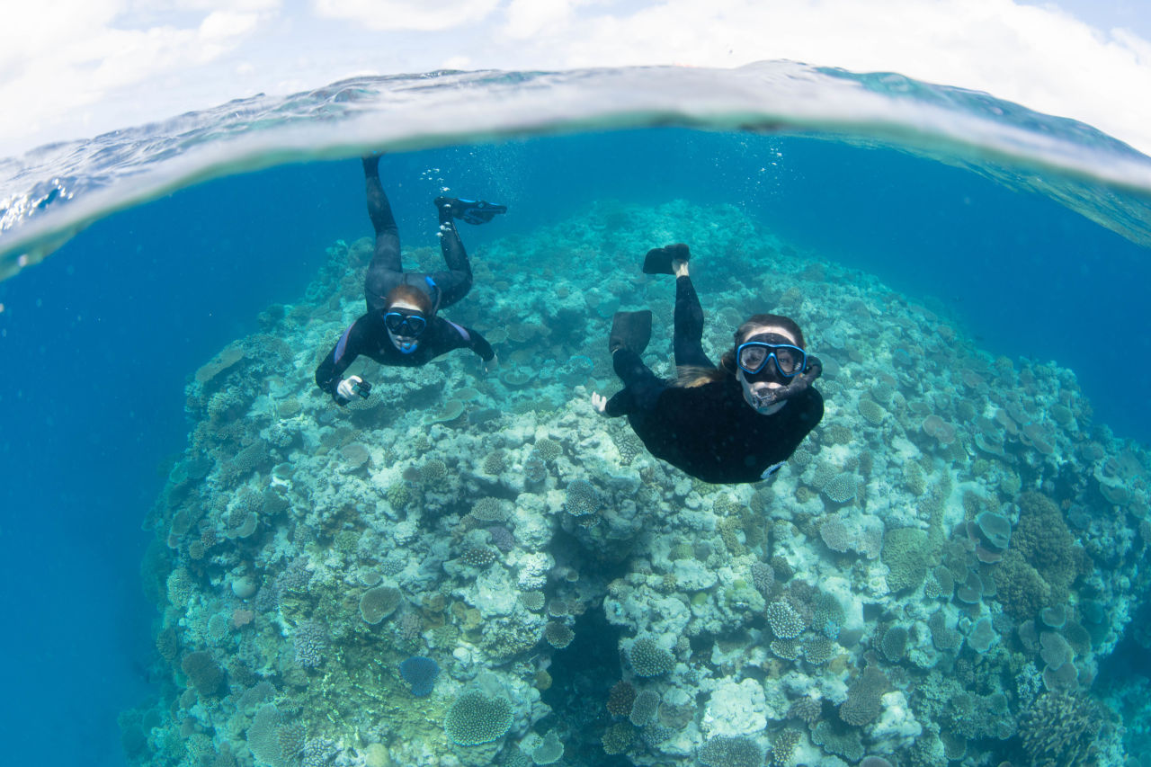Diver Michelle Barry undertakes Great Reef Census survey. Credit: Gabriel Guzman - Underwater Images