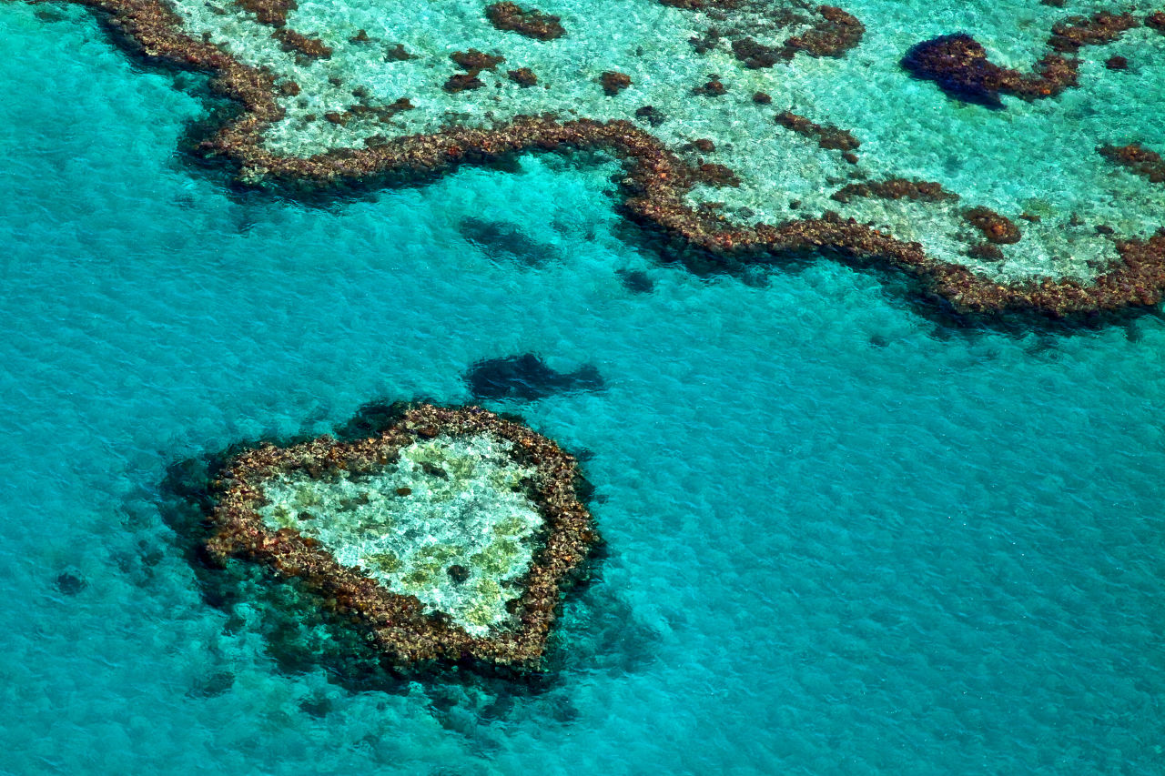 Why we need coral reefs