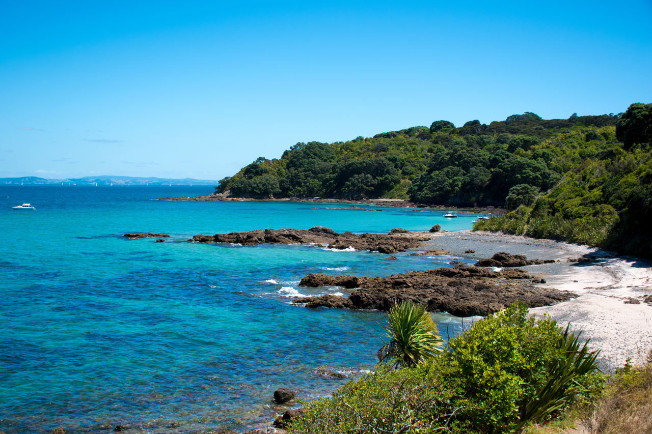 Ian began his career as a conservation ranger on Tiritiri Matangi Island, New Zealand, helping to restore the island’s natural habitats.