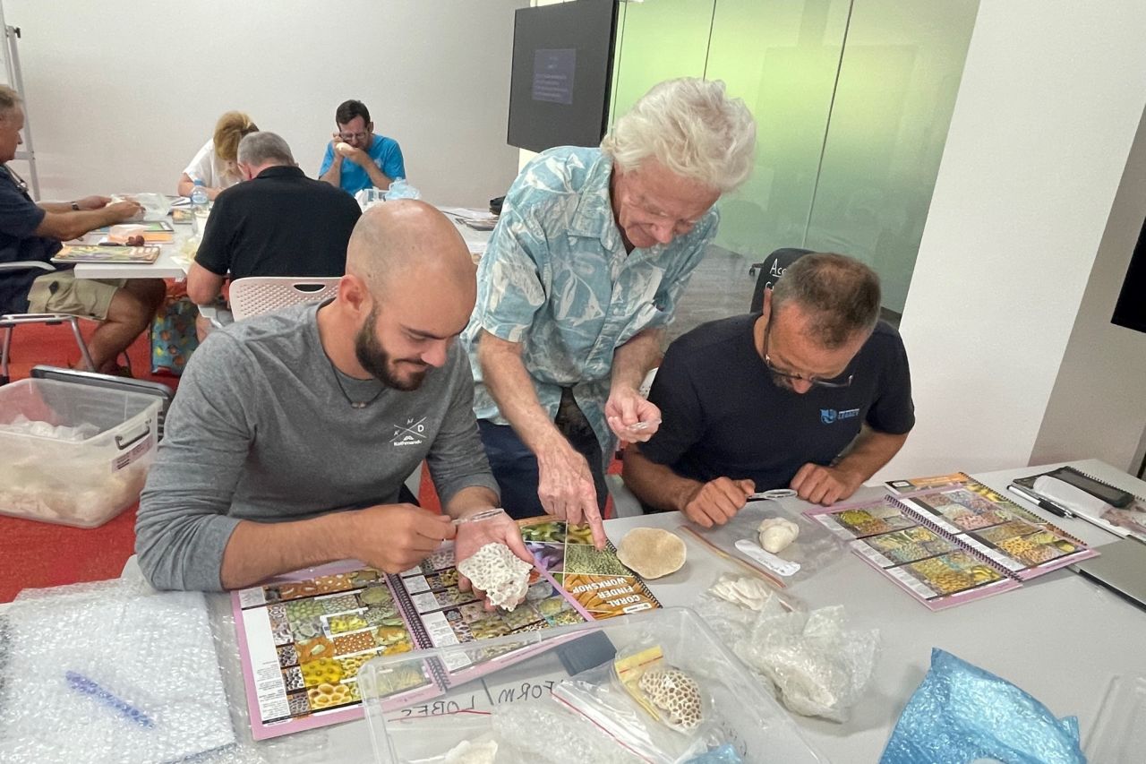 Workshop participants studying coral morphology