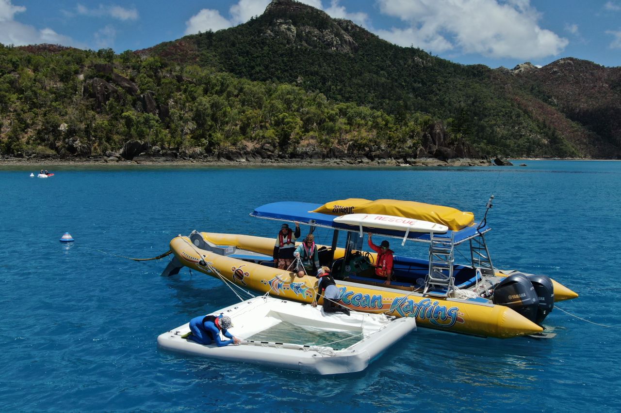 Mark is helping empower tourism operators to restore damaged coral reefs. Credit: Great Barrier Reef Foundation