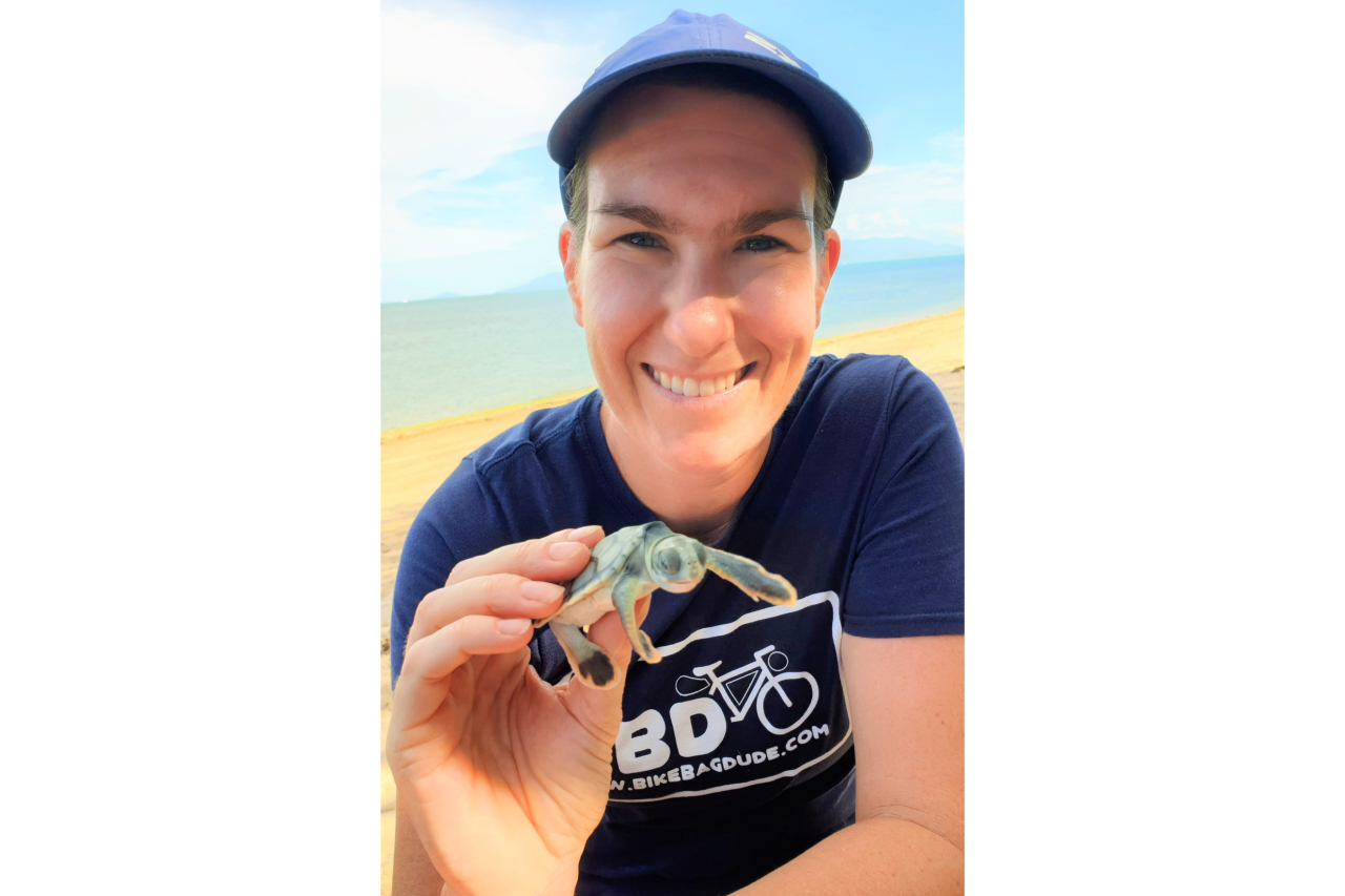 "The nest was being dug up at Nelly Bay so Magnetic Island Network for Turtles (MINT) volunteers and QPWS could record success rate. Some scragglers were left behind who we then released."