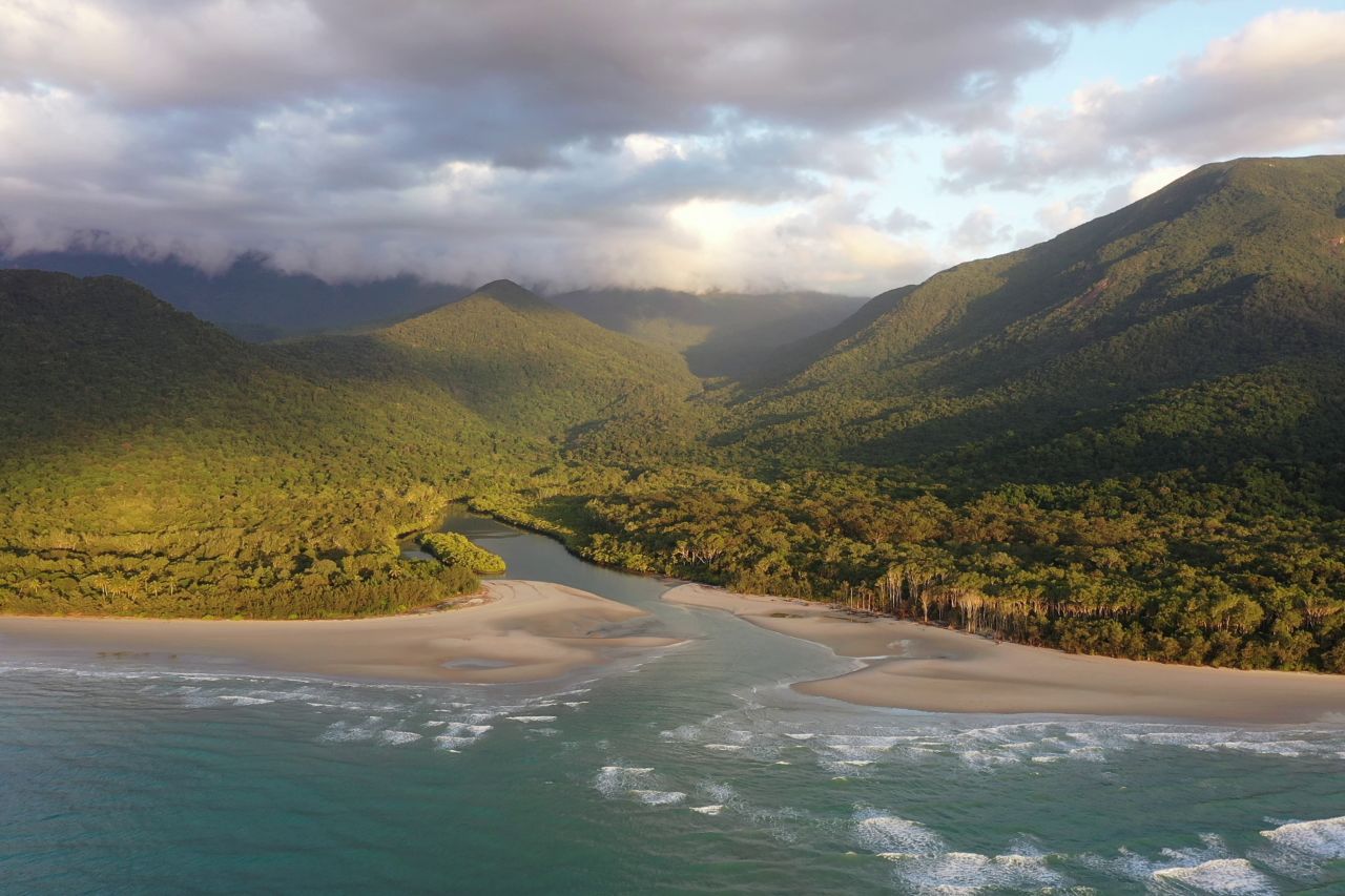 Aerial view of a rainforest meeting the ocean