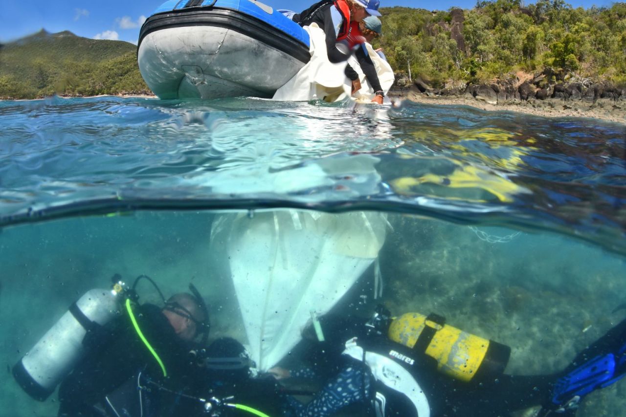 📷 Great Barrier Reef Foundation