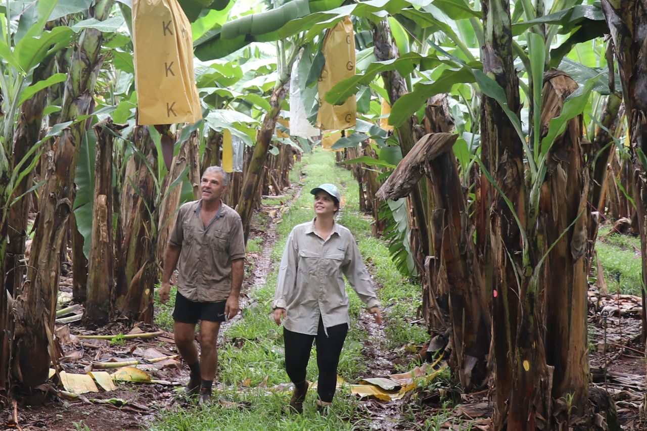 Banana farmers Michael and Kayla Zecchinati. Image ABGC/CCRSF