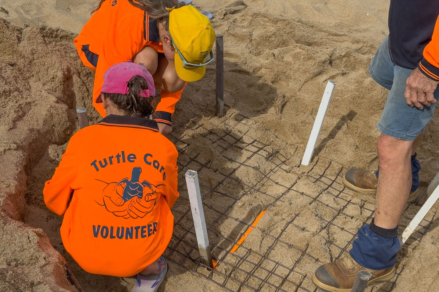 Nev and volunteers help cover nests with mesh. Credit: Ben and Di