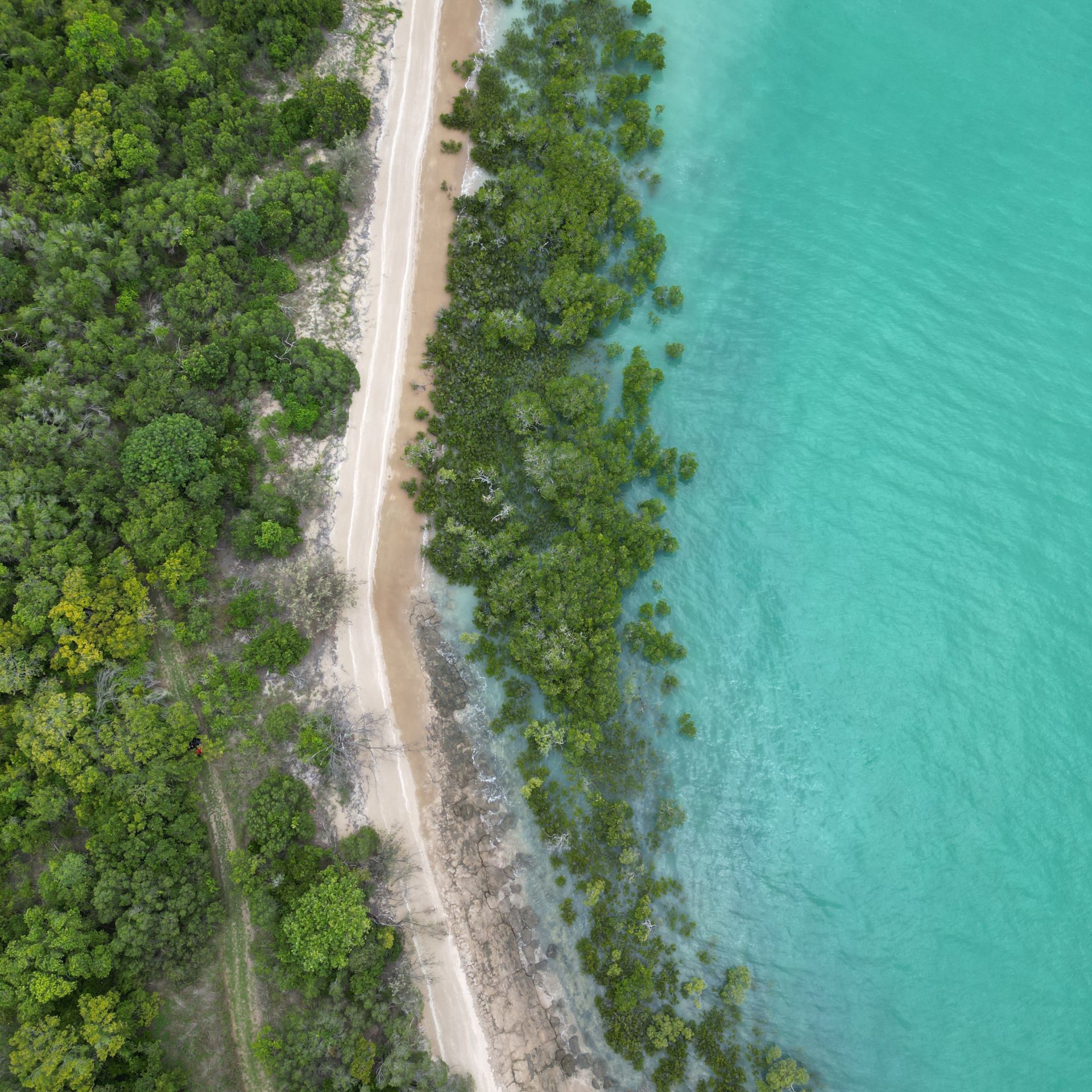 Aerial photo of Avoid island
