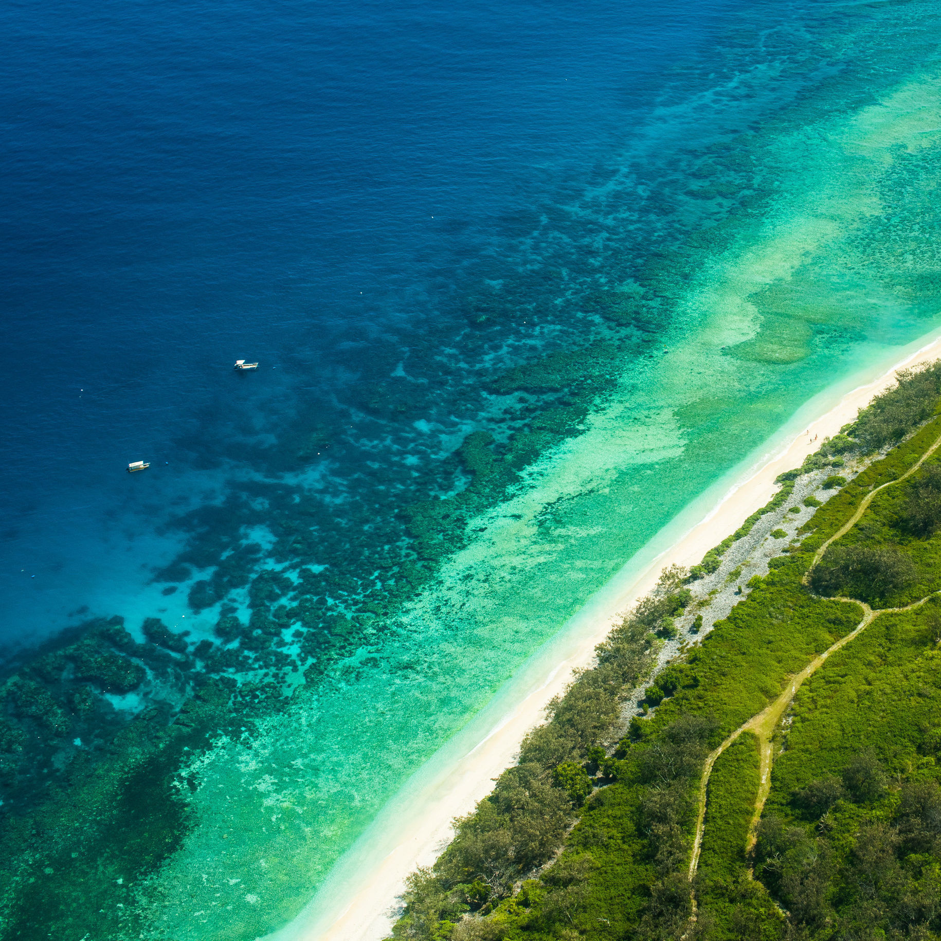 Lady Elliot Island