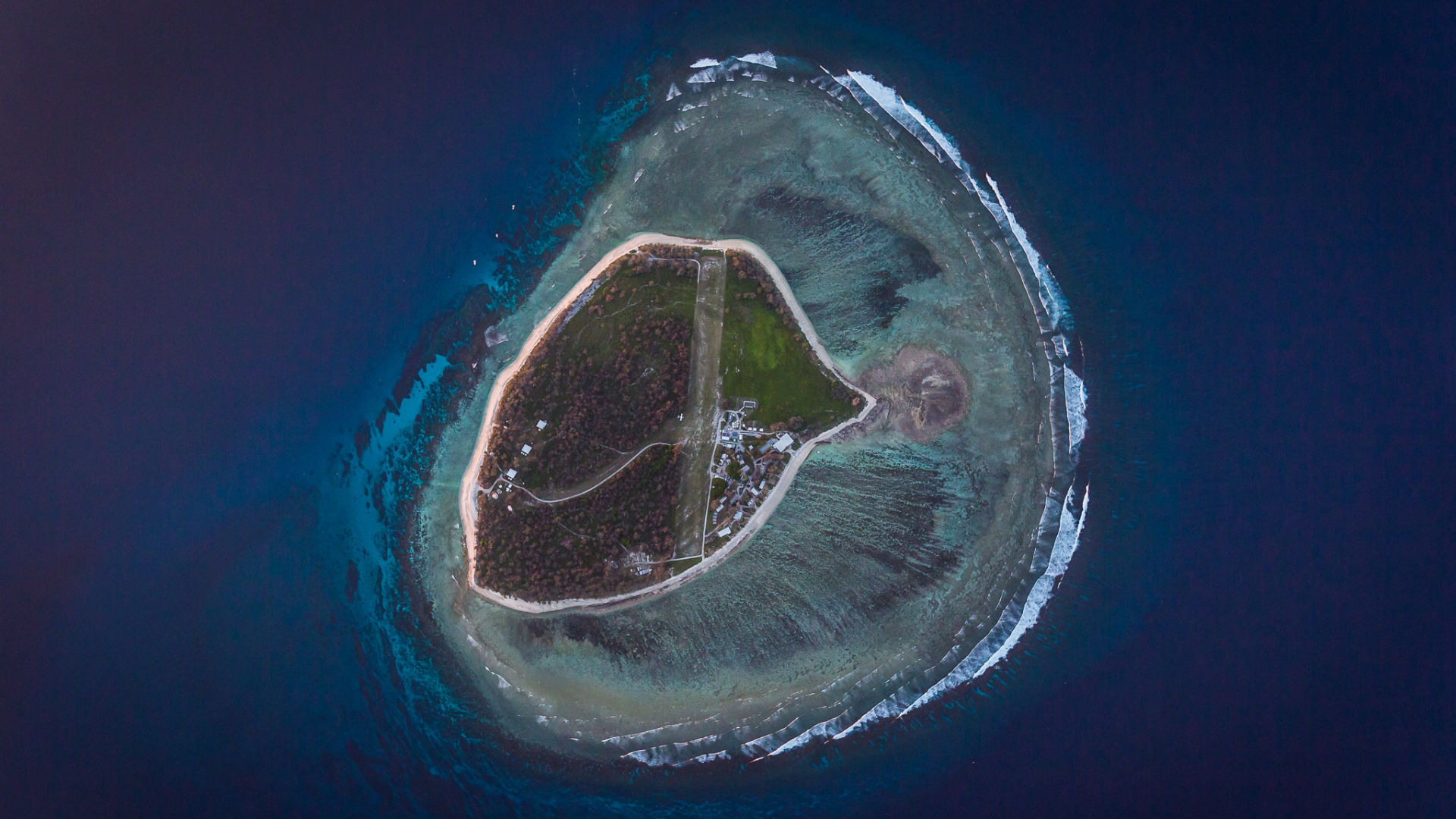 Historical photograph of Lady Elliot Island
bare of vegetation