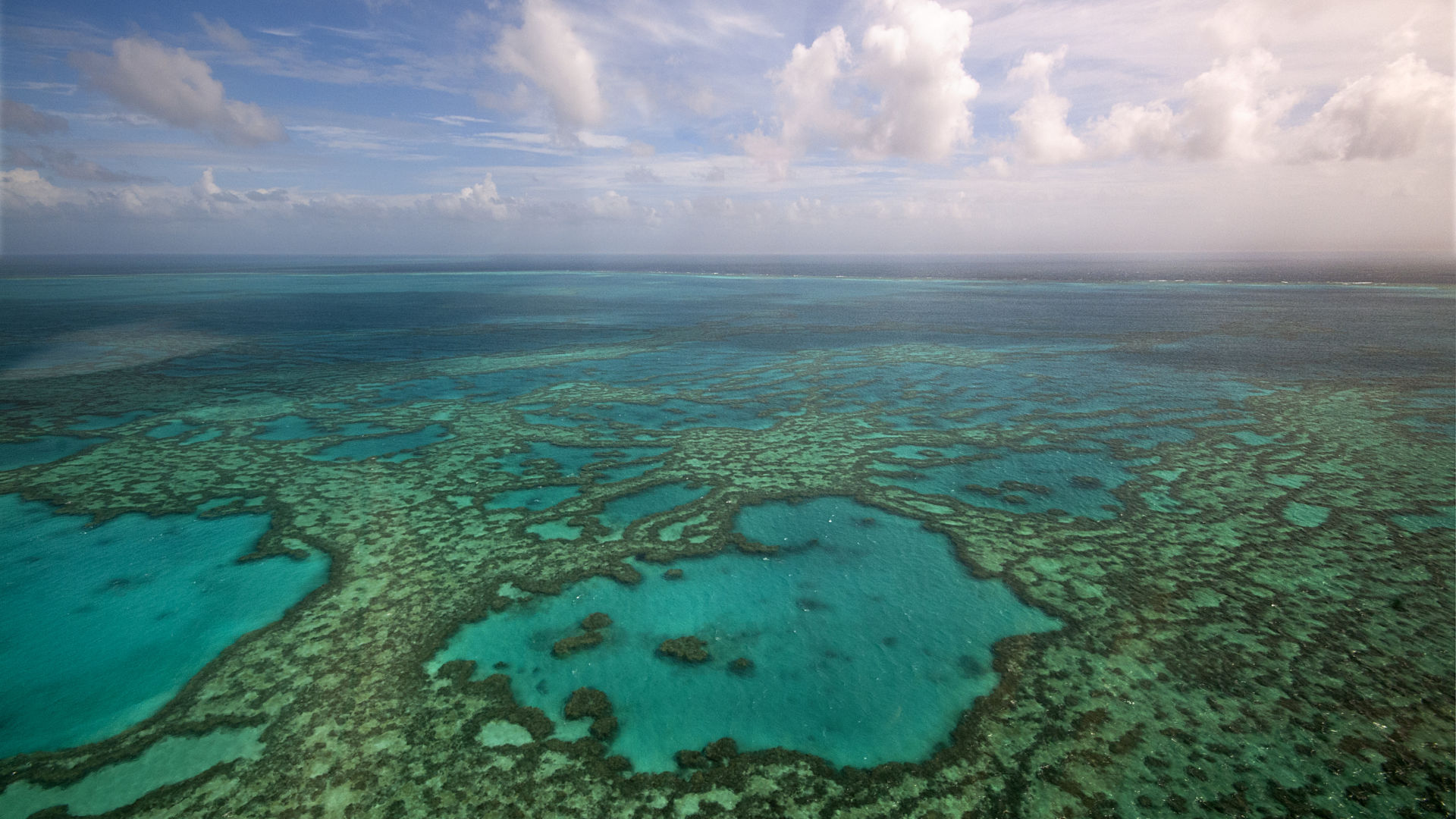 Reef aerial