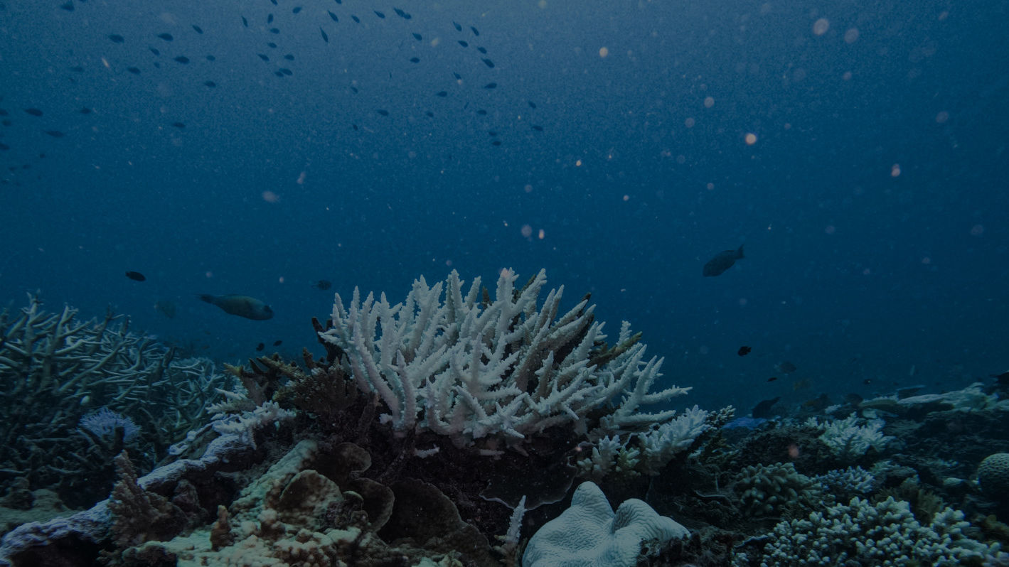 Improving Water Quality Great Barrier Reef Foundation Improving Water Quality Great Barrier Reef Foundation
