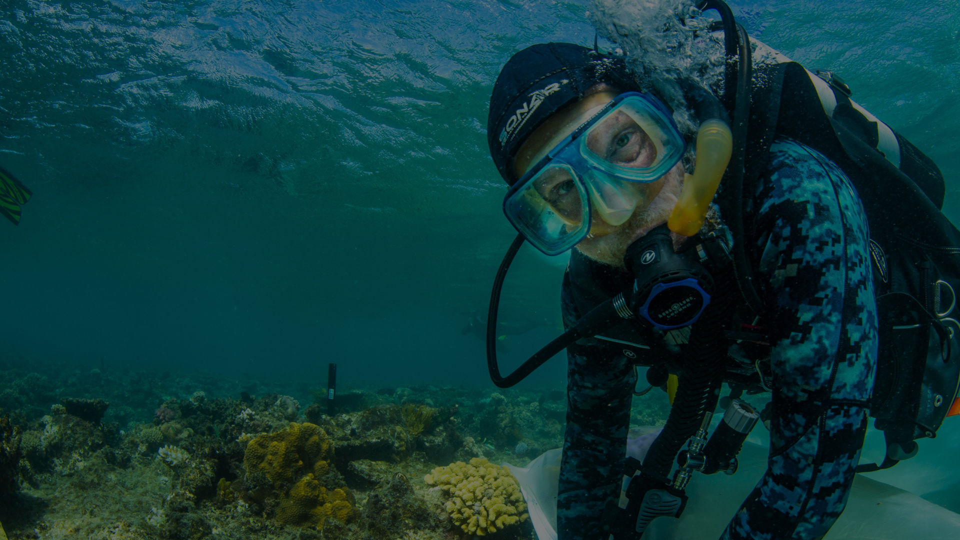 Restoring coral reefs
