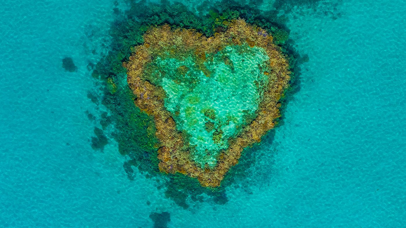 Heart Reef, Whitsundays