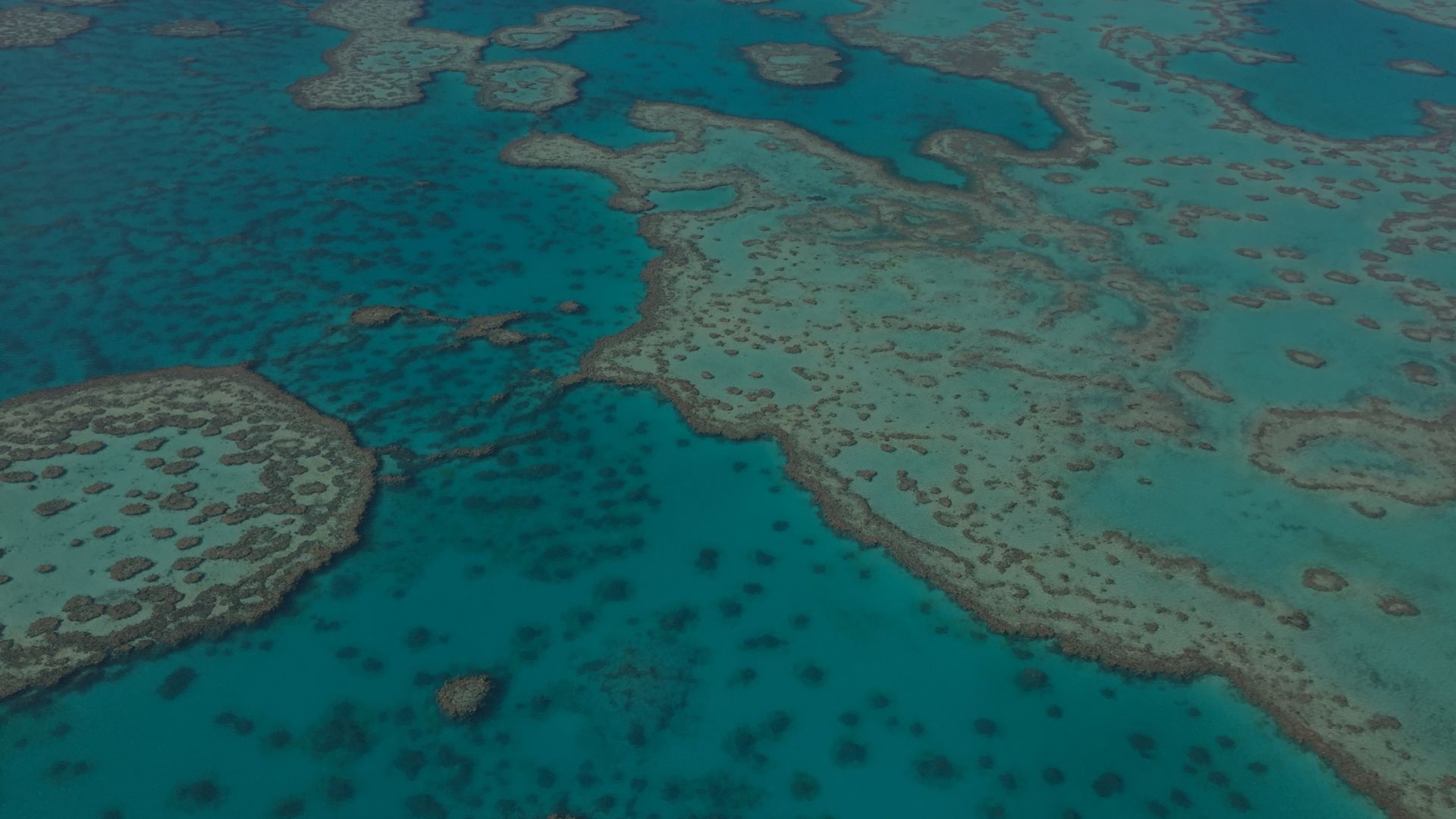 Community reef protection