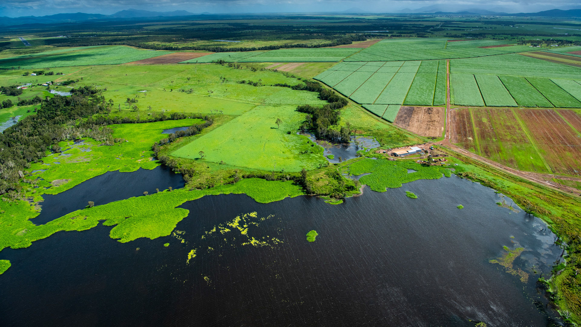Wetlands Projects
