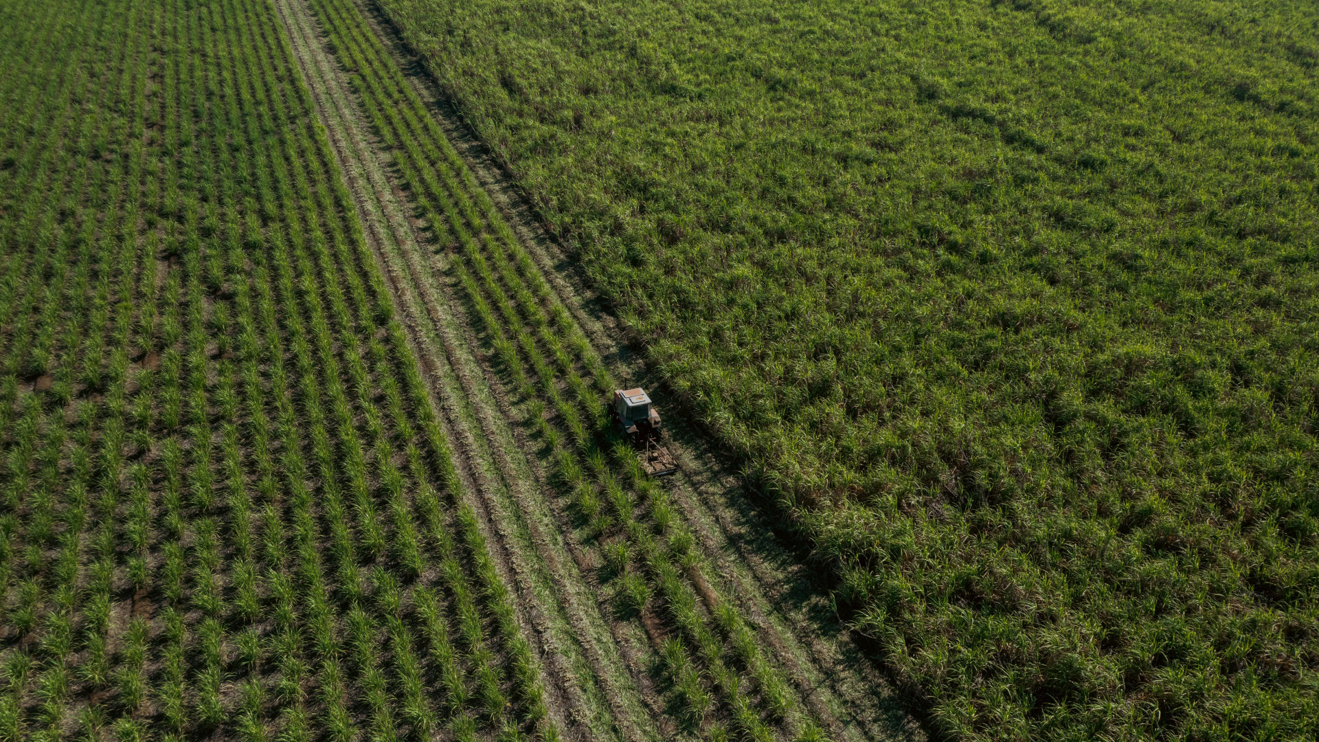 Farming technology improving Reef water quality