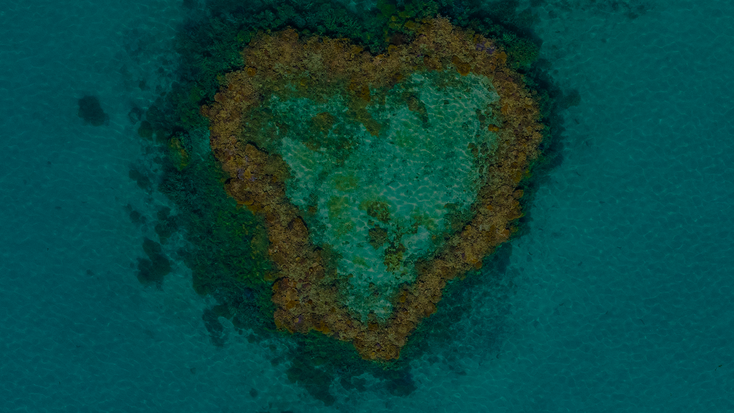 The Whitsundays