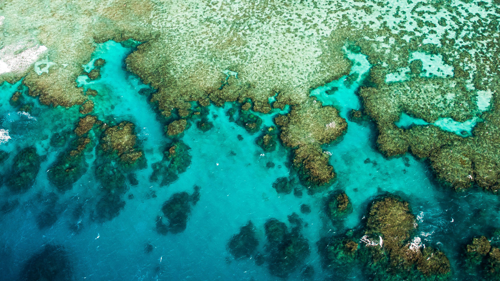 Reef Trust Partnership