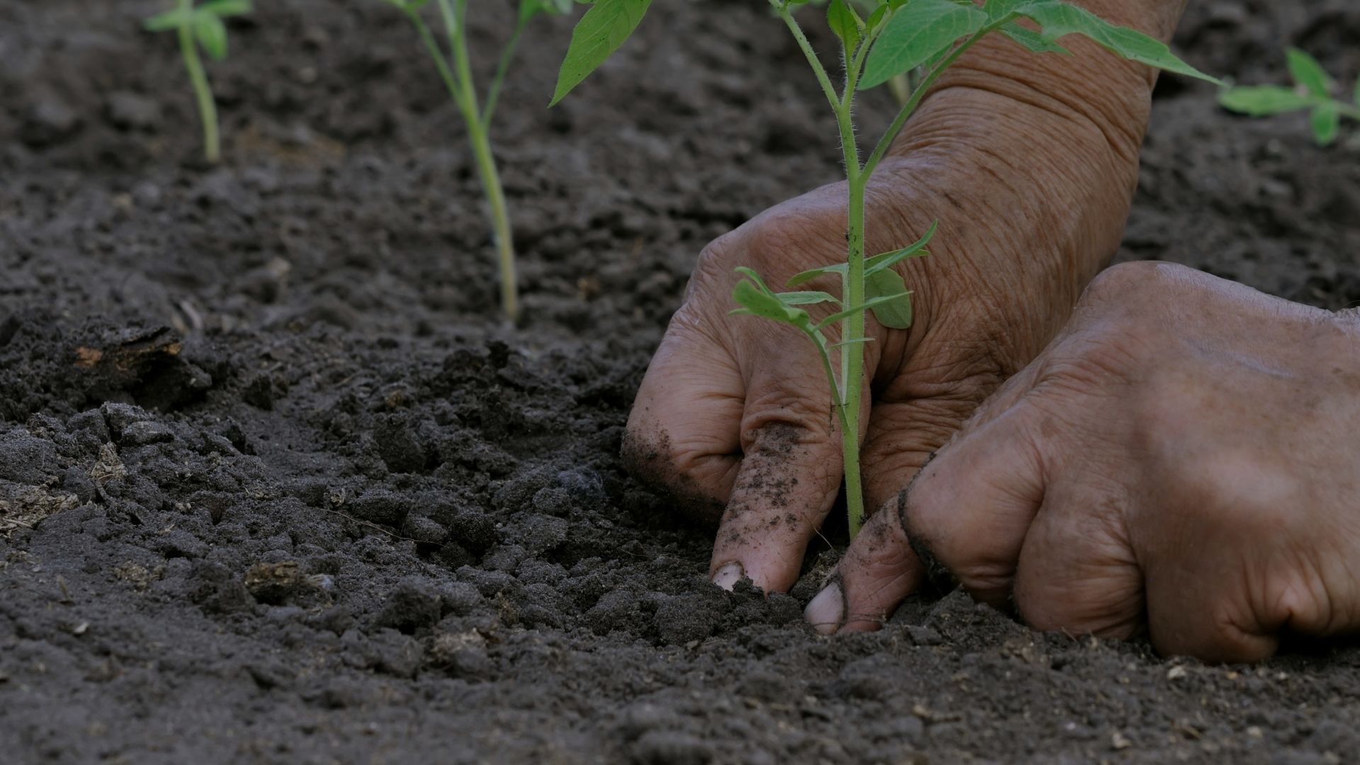 Working with Traditional Owners and communities