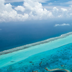 Belize Barrier Reef Reserve System