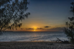 Yunbenun-Magnetic Island Community Action Plan Case Study