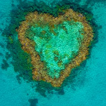 Heart Reef, Whitsundays