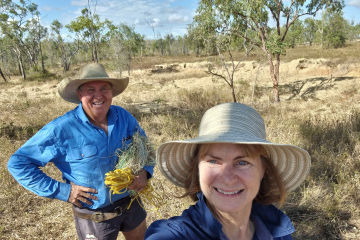 Every bit counts: working on small gullies to reduce sediment