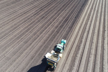 Soil health is no small potatoes