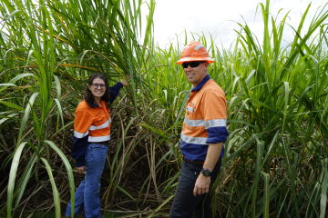 Technology changes the way farmers fertilise their cane crops