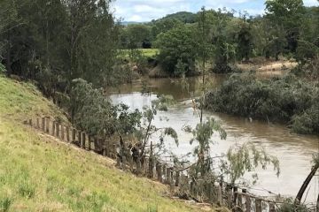Flooding during the February SouthEast Queensland floods on Ian Mackie's property. His riverside property is a part of the Mary River Recovery Project and the river banks have undergone stabilisation works that kept more sediment on the land.