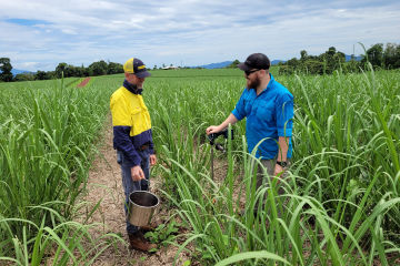 FNQ Farmers take a new approach to improve Reef water quality