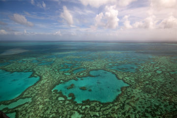 Reef aerial