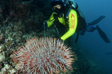 Expression of Interest - Crown-of-thorns Starfish Surveillance Technology