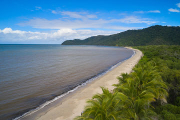 An aerial shot of a long stretch of beach where the rainforest meets the reef on Dabu Jajikal Country.