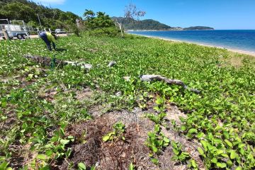 Climate Friendly Sea Turtle Land Management Tool 