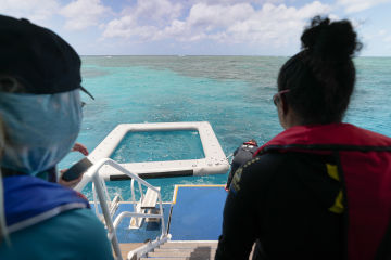 Expression of Interest: COTS-RRAS Traditional Owner Technical Working Group member vacancy