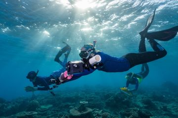 Cairns-Port Douglas Reef Hub