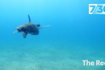 Could a change in farming practices help save the Great Barrier Reef?