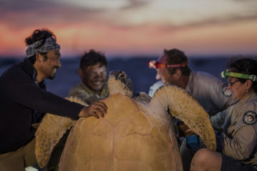 Raine Island Recovery Project