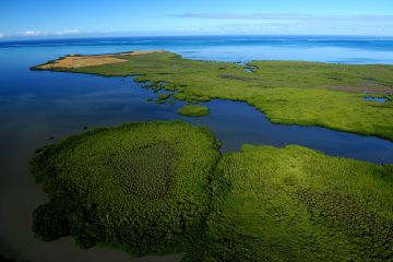 UNESCO report supports the crucial role of the Great Barrier Reef Foundation’s Resilient Reefs Initiative in fighting climate change