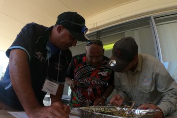 Sea ranger Kelvin Rowe, Uncle Mick Eggmolesse and sea ranger Darren Hodges working together to identify different species of seagrass.  Uncle Mick knows which ones are the favourites of turtle and dugong.