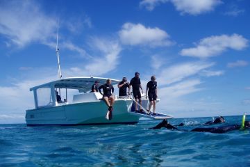 Heron Island